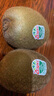 佳沛（zespri）綠奇異果 優(yōu)選大果12粒單果約113-135g  水果禮盒 獼猴桃 曬單實(shí)拍圖