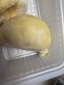 金枕頭榴蓮肉新鮮冷凍榴蓮果肉帶核樹(shù)熟進(jìn)口生鮮水果順豐包郵 精品金枕榴蓮果肉280g/盒*2 曬單實(shí)拍圖