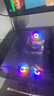 技嘉全家桶i7 12700KF/14700KF/RTX4070S/60Ti顯卡直播電競組裝電腦主機整機黑悟空游戲臺式機 四：14700KF丨RTX5060丨32G 曬單實拍圖