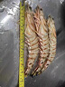 野生花蝦特大斑節蝦九節蝦基圍蝦大蝦竹節蝦黑虎蝦海蝦明蝦鮮活 1000g(凈重)  鮮蝦速凍《1斤3條》25-27cm 曬單實(shí)拍圖