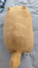 名創(chuàng  )優(yōu)品（MINISO）柴犬系列毛絨公仔趴姿玩具娃娃抱枕睡覺(jué)室內臥室辦公室生日禮物 曬單實(shí)拍圖