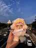 POP MART泡泡瑪特 θSKULLPANDA光織園系列毛絨公仔掛件盲盒周邊生日禮物 隨機(jī)1個(gè)（限購(gòu)9個(gè)） 不支持7天無(wú)理由退換貨 曬單實(shí)拍圖
