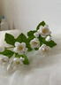 貝因美（Beingmate）愛加12-36月幼兒奶粉大罐3段800g 免疫成長奶粉含乳鐵蛋白 曬單實拍圖