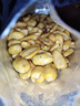 憨豆熊香辣花生米500g/袋 麻辣花生零食小吃下酒菜喝酒花生米仁年貨 曬單實(shí)拍圖