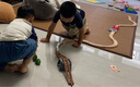 Murcia俄羅斯方塊積木益智玩具拼圖3到6歲兒童拼裝男孩女孩生日新年禮品 曬單實拍圖