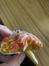 【活蟹】陽(yáng)澄姑娘大閘蟹 現貨鮮活大螃蟹公母蟹 海鮮水產(chǎn)生鮮禮盒 公蟹4.0-4.3兩母蟹3.0-3.3兩 5對10只裝 曬單實(shí)拍圖