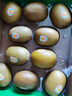 佳沛（zespri）新西蘭  陽(yáng)光金奇異果10粒禮盒巨大果單果約144-175g 水果 獼猴桃 曬單實(shí)拍圖