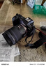 佳能（Canon）EOS RP 微單相機全畫幅專微 4K視頻 專業(yè)微單 RP 24-105 STM套機 曬單實拍圖