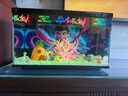 阿拖（ATUO）海綿寶寶珊瑚造景躲避屋卡通公仔菠蘿屋魚缸小擺件水族箱裝飾全套 曬單實拍圖