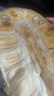 海南熱帶特產(chǎn)新鮮黃肉菠蘿蜜水果現(xiàn)摘現(xiàn)發(fā) 京東快遞包郵 云南新鮮菠蘿蜜8-10斤 曬單實(shí)拍圖
