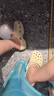 卡駱馳（crocs）經(jīng)典云朵Clog女沙灘洞洞鞋涼拖鞋206750 206750-2Y2  36  曬單實(shí)拍圖
