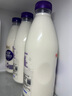 光明 致優(yōu) A2β鮮奶 800ml 家庭裝 巴氏殺菌 鮮牛奶定期購 曬單實(shí)拍圖