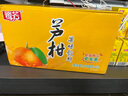 鷺芳冬瓜茶飲料植物飲料蘆柑飲料248ml*24盒整箱解膩清爽清涼飲品 蘆柑飲料248ml*24盒 曬單實拍圖