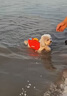 爾山集狗狗救生衣寵物游泳衣服中型小型犬大型犬泰迪柴犬柯基比熊邊牧 紅色M（38-50脖圍 10-20斤 曬單實拍圖