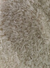 太糧 靚蝦軟米20斤 油粘米 南方長(cháng)粒秈米 大米10kg 當季新米 曬單實(shí)拍圖