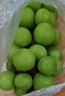 玖原農(nóng)珍四川陽(yáng)光玫瑰葡萄凈果2.5斤單果8-12g 現(xiàn)摘新鮮水果禮盒 曬單實(shí)拍圖