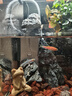森森 小鯉魚缸過濾器凈水循環(huán)三合一內(nèi)置水族箱過濾系統(tǒng)XQP-500F 6W 曬單實(shí)拍圖