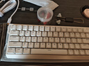 邁從（MCHOSE）Ace 68/60Pro【國(guó)家補(bǔ)貼】磁軸鍵盤(pán) RT電競(jìng)游戲客制化機(jī)械有線連接全鍵熱插拔雙驅(qū)動(dòng)無(wú)畏契約 Ace 68 電競(jìng)版 白色 藍(lán)冰磁軸 曬單實(shí)拍圖