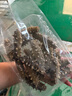 典品堂大連底播即食海參新鮮遼刺參海鮮水產(chǎn)禮盒廠家直發(fā)禮盒 即食海參500g14-16只 1斤 曬單實拍圖