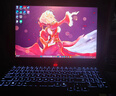 聯(lián)想（lenovo）拯救者Y7000 25款滿(mǎn)血RTX5060游戲本180Hz高刷新學(xué)生辦公筆記本電腦 Y7000P|i7-14650HX|RTX5060 16G內存+1TB固態(tài)|  電竟推薦 曬單實(shí)拍圖