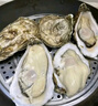 鮮海道 鮮活乳山生蠔5XL 凈重5斤 9-12只 生鮮海鮮貝類 源頭直發(fā) 曬單實拍圖