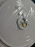 TCL吸頂燈led臥室燈全屋燈飾陽(yáng)臺餐廳現代簡(jiǎn)約三防燈24W白光 曬單實(shí)拍圖