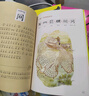 有故事的漢字第一輯全3冊(cè) 彩圖注音版邱昭瑜著 漢字認(rèn)知兒童啟蒙讀物 我們的漢字 精選小學(xué)生應(yīng)該掌握的基礎(chǔ)漢字 親近自然+認(rèn)識(shí)自我+走進(jìn)生活篇 青島出版社 【3冊(cè)】有故事的漢字第一輯 曬單實(shí)拍圖