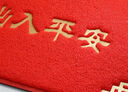 迪茵（DIYIN）出入平安門墊元寶60*90cm 入戶門地墊門口腳墊絲圈迎賓防滑墊 曬單實拍圖