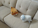 名創(chuàng  )優(yōu)品（MINISO）白熊柴犬小豬彈力毛絨公仔沙發(fā)抱枕靠枕趴睡枕送女朋友生日禮物 柴犬抱枕（55*21cm） 曬單實(shí)拍圖