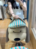 途尊2025年立體卡通小動(dòng)物書(shū)包出行包大容背包時(shí)尚可愛(ài)小狗卡通背包 棕色條紋小狗雙背包 曬單實(shí)拍圖