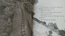 神奇樹(shù)屋 英文原版 Magic Tree House1-4冊全套盒裝 橋梁章節書(shū) 英語(yǔ)課外閱讀 美國小學(xué)推薦 曬單實(shí)拍圖
