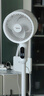 美的（Midea）空氣循環(huán)扇 電風(fēng)扇家用立式落地語音風(fēng)扇直流變頻輕音節(jié)能小風(fēng)扇抑菌凈化電扇  GDI24WG 曬單實(shí)拍圖