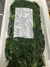 【農(nóng)村最鮮】春天里薺菜農(nóng)家野菜薺菜速凍薺菜水餃餛飩餡新 整顆【當(dāng)季新菜4斤】精選商用裝 曬單實(shí)拍圖