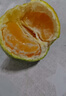 春福樂 云南青皮蜜桔橘子【產(chǎn)地直發(fā)】新鮮水果酸甜整箱新鮮孕婦水果 5斤精選裝【老農(nóng)手挑】凈重4.4斤 曬單實拍圖