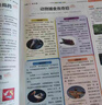 8月現(xiàn)貨速發(fā) 大語(yǔ)文知識(shí)畫報(bào) 快樂學(xué)習(xí)報(bào)2025年/2026春季/秋季學(xué)期訂閱1年共52期每月快遞小學(xué)語(yǔ)文一二三四五六年級(jí)課前預(yù)習(xí)課后積累同步課本分級(jí)閱讀 少年報(bào)報(bào)紙?zhí)煨墙逃銎菲炫灥攴沁^(guò)刊雜志K 全 曬單實(shí)拍圖