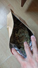 弘禮堂 金錢草500g 廣金錢草茶 大葉金錢草茶 金錢石清茶原料可泡茶煮水 曬單實拍圖