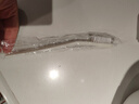 羅婭22葉刀豆?jié){機(jī)破壁機(jī)1-2人家用1L降噪低音全自動免煮免過濾小型料理機(jī)輔食機(jī)米糊機(jī)預(yù)約保溫 雪川白 曬單實拍圖