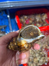AOTGSSE/愛蒂遜床圍欄嬰兒童防摔床圍擋安全護(hù)欄床邊寶寶床上圍欄免打孔 1.8米淺灰 單面裝 【下翻折疊】 曬單實(shí)拍圖
