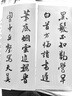 行書(shū) 蘇軾七篇 田小華書(shū)法行書(shū)臨摹鑒賞 蘇軾經(jīng)典文章赤壁賦等 附贈書(shū)簽對聯(lián)和心法書(shū)札折頁(yè)小帖 數藝設出品 曬單實(shí)拍圖