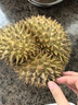 京鮮生 進(jìn)口金枕榴蓮 巴掌榴蓮2個(gè)裝 總凈重4斤以上 源頭直發(fā) 包郵 曬單實(shí)拍圖