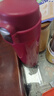 膳魔師（THERMOS）保溫杯500ml男女士兒童水杯子七夕情人節(jié)教師節(jié)禮物JNL-502 粉色 曬單實(shí)拍圖