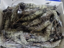 蝦有蝦途黑虎蝦特大號老虎蝦新鮮冷凍鮮活斑節蝦整盒2斤凈重20-25只/盒 1盒 2斤(凈重)  17-19cm 曬單實(shí)拍圖