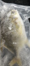 環(huán)球水產(chǎn)南海大規格金鯧魚(yú)550g1條 BAP認證 海魚(yú) 生鮮魚(yú)類(lèi) 火鍋 中秋海鮮 曬單實(shí)拍圖