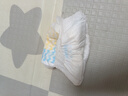 巴布豆（BOBDOG）小波浪拉拉褲XL120片(12-17KG)尿不濕 超薄透氣 干爽 曬單實(shí)拍圖