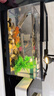 闊庭魚(yú)缸懶人魚(yú)缸家用客廳辦公室金魚(yú)缸過(guò)濾魚(yú)缸黑色款 曬單實(shí)拍圖