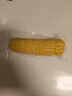 十月稻田 黃糯玉米 3.52斤(220g*8根) 東北甜黏玉米棒 早餐苞米 真空包裝 曬單實(shí)拍圖
