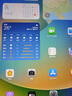 蘋(píng)果 Apple iPad Pro 11/12.9英寸/2020/21/22/24年新款M1M2芯片二手平板電腦 20款11寸Pro-256G 99新【堪比新機】 曬單實(shí)拍圖