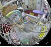 TP-LINK無(wú)線(xiàn)監控攝像頭 360度無(wú)死角 高清帶夜視全景魚(yú)眼視像頭手機APP遠程查看室內家用安防監控器看家寶 500萬(wàn)全景監控【W(wǎng)iFi版】 無(wú)內存 曬單實(shí)拍圖