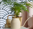 宜家（IKEA）VATTENKRASSE瓦特卡斯防銹灑水壺家用澆花神器長(zhǎng)嘴園藝壺花桶 灑水壺乳白色/金黃色0.9L 曬單實(shí)拍圖