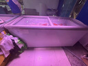 星奧雪冰柜超市商用大容量島柜展示柜冷藏保鮮柜加厚弧形玻璃門(mén)冷凍展示柜冰淇淋雪糕柜 1.8米加深歐島柜【智能數(shù)顯】 曬單實(shí)拍圖